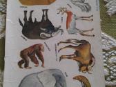 1.50 eur x8 + siun