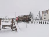 Malkos pigiau! Beržas,uosis,ąžuolas,juodalksnis. - nuotraukos Nr. 18