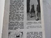 Lietuvos boksui - nuotraukos Nr. 7