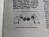 Lietuvos boksui - nuotraukos Nr. 10