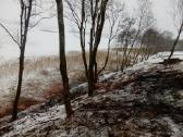 Griovimo darbai, apleistų sklypų tvarkymas. - nuotraukos Nr. 6