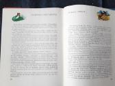 Mūsų šalis ddžiulė E. Girčys 1982 - nuotraukos Nr. 5