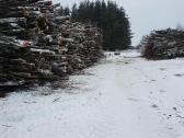 Ieškomas pjovėjas dirbti biokuro ruošos darbus. - nuotraukos Nr. 3