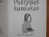 Holly Webb. Nuostabios knygelės vaikams - nuotraukos Nr. 6