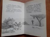 Holly Webb. Nuostabios knygelės vaikams - nuotraukos Nr. 8