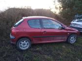 Peugeot 206 dalimis - nuotraukos Nr. 7