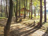 Sodybos,rąstinių namelių,pirties nuoma miške. - nuotraukos Nr. 31