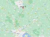Didelės kalninės pušeles,papr.pušys, eglės,pocūgės - nuotraukos Nr. 23