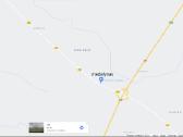 Didelės kalninės pušeles,papr.pušys, eglės,pocūgės - nuotraukos Nr. 24