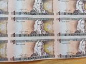 Nekarpyti 1 lito banknotai ( 28vnt žemaitė) - nuotraukos Nr. 9