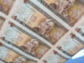 Nekarpyti 1 lito banknotai ( 28vnt žemaitė) - nuotraukos Nr. 12