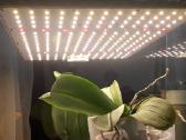 LED Lempa Bestva Pro Series 1000 100w Nauja! - nuotraukos Nr. 2