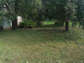 Žolės pjovimas, aeravimas. Medžių kirtimas, genėj - nuotraukos Nr. 7