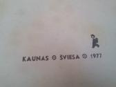 Seni vadoveliai - nuotraukos Nr. 8