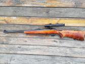 308/223/222/22wmr.