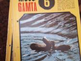 Mūsų gamta žurnalai - nuotraukos Nr. 4