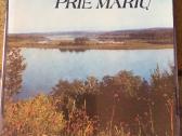 Grigaliūnas Girioje prie marių 1978 m puiki bukle