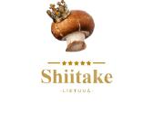 Shiitake grybų rąsteliai - nuotraukos Nr. 4