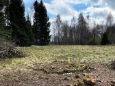 Parduodamas sklypas netoli Platelių ežero - nuotraukos Nr. 3