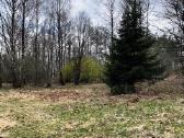 Parduodamas sklypas netoli Platelių ežero - nuotraukos Nr. 8