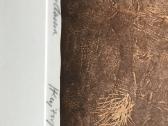 Paveikslas. Litografija - nuotraukos Nr. 6