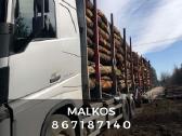 Malkos Rastais Dideliais Kiekiais - nuotraukos Nr. 3