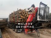 Malkos Rastais Dideliais Kiekiais - nuotraukos Nr. 4