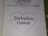"buridanas"1994m. romanasmišelis Zevakas - nuotraukos Nr. 3