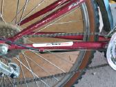 "bottecchia"kalnu dviratukas. - nuotraukos Nr. 10
