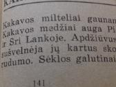 Knyga.sumustiniai. - nuotraukos Nr. 6