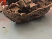 Gruntas Virs 20kg, dekoracija - nuotraukos Nr. 4