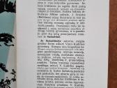 Romanas apie Vincą Kudirką. Chicago 1959 metai - nuotraukos Nr. 2