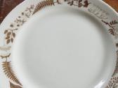 Kolekcijinės lekštės,kaulinio porceleno - nuotraukos Nr. 4