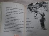 Vaikiškos knygos anglų kalba (16 rinkinys) - nuotraukos Nr. 11