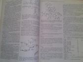 "Endocrinology" - nuotraukos Nr. 4