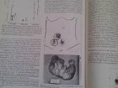 "Endocrinology" - nuotraukos Nr. 5