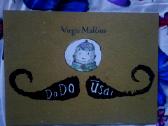 Knyga Dodo ūsai