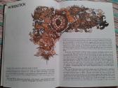 "The Compleat Astrologers Sun-signs Guide" - nuotraukos Nr. 3