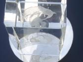 Krištolinis delfinų modelis 3D - nuotraukos Nr. 4