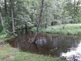 Sodybos nuoma prie Gaujos upės. Baidarių nuoma. - nuotraukos Nr. 29