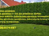 Žolės pjovimas, sklypų ir teritorijų tvarkymas - nuotraukos Nr. 6
