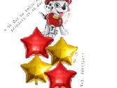 Paw patrol balionai kaina - nuotraukos Nr. 12