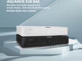 MUSICIAN AUDIO Aquarius R2R DAC - nuotraukos Nr. 10