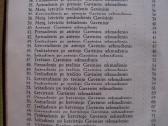 Lekcijos ir evangelijos 1939 m. Kaunas / *Kd* - nuotraukos Nr. 11