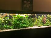 Gėlavandenių ir jūrinių akvariumų gamyba. - nuotraukos Nr. 7