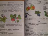 Knyga.(azbuka) 1klase .1dalis ir 2 dalis. - nuotraukos Nr. 5