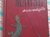 Driežo uodegėlės Juan Marse