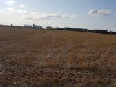 1.12 ha žėmės sklypas Karalių k., Vilkaviškio r. - nuotraukos Nr. 4