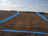 1.12 ha žėmės sklypas Karalių k., Vilkaviškio r. - nuotraukos Nr. 5