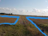 1.12 ha žėmės sklypas Karalių k., Vilkaviškio r. - nuotraukos Nr. 8